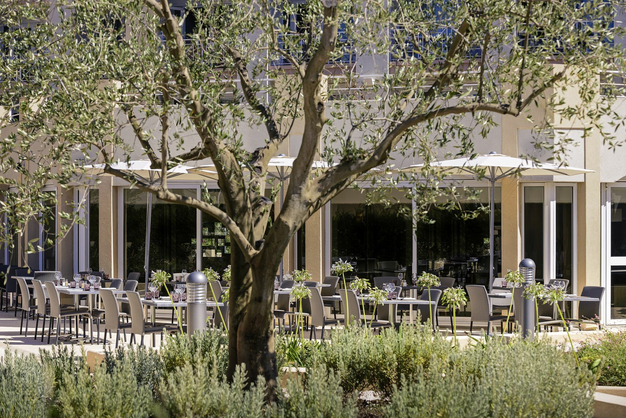 Mercure Thalasso & Spa Port Fréjus Exteriör bild